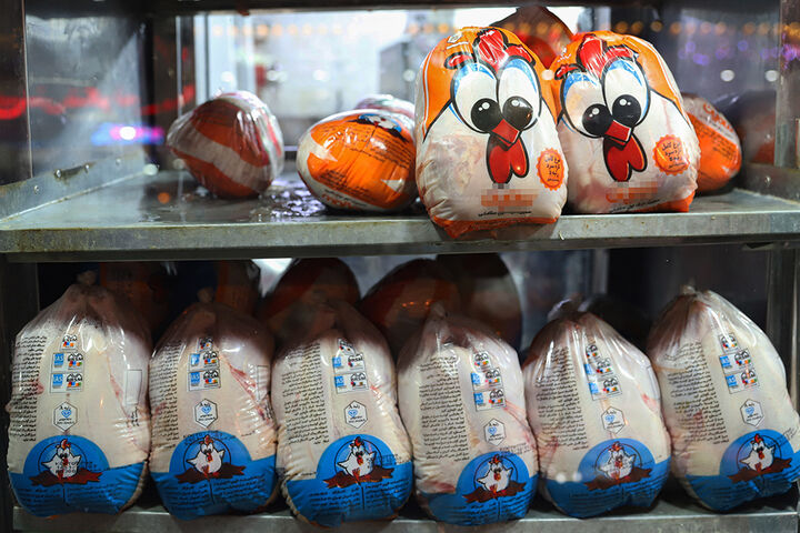 صادرات ۳۷۵۰ تنی مرغ ایران؛ صادرات نقش تنظیم گری بازار دارد| عمان و ازبکستان بازارهای جدید صادراتی