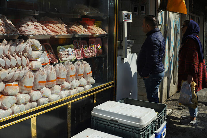 وزارت جهاد کشاورزی اجازه صادرات مرغ مازاد را ابلاغ کرد