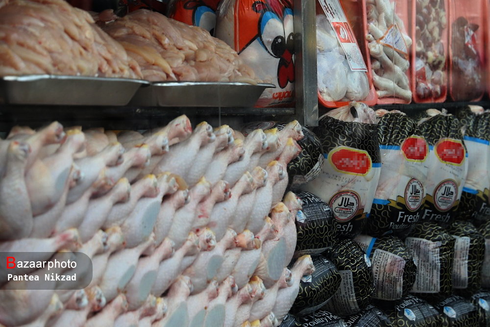تراژدی گرانی مرغ در یزد | مردم و تولیدکنندگان ناراضی هستند 