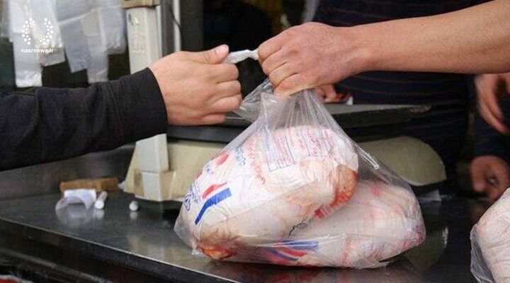 مرغ منجمد وارداتی در قزوین توزیع شد
