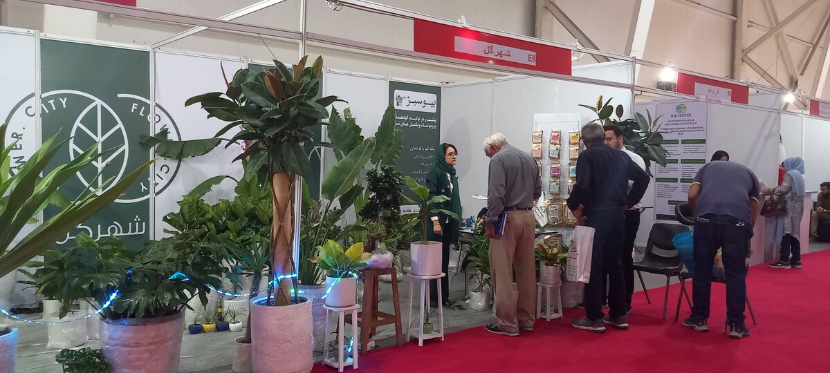 سایه رکود اقتصادی بر نمایشگاه کشاورزی تهران| ایران سبز؛ رویدادی که تحت شعاع نمایشگاه شیراز قرار گرفت