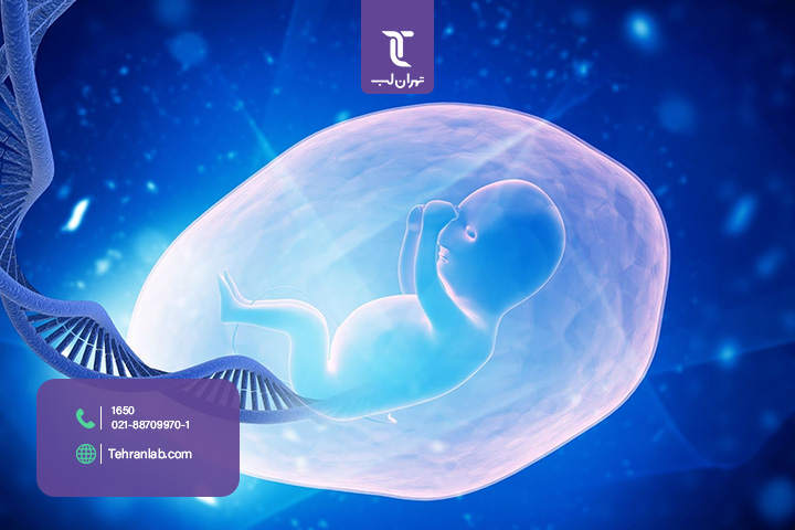 بهترین آزمایشگاه تهران برای انواع آزمایش ژنتیک بارداری