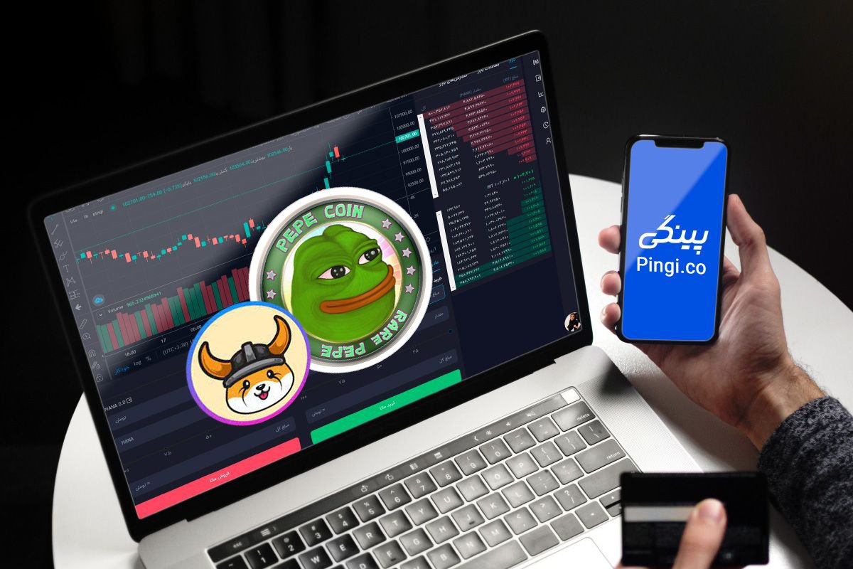 فروش و خرید ارزهای فلوکی و PEPE در صرافی پینگی