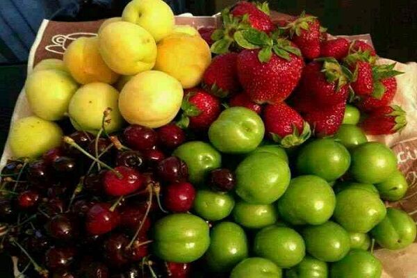 قیمت‌های عجیب میوه و گوشت در استان سمنان | زرد آلو ۲۵۰ هزار تومان !