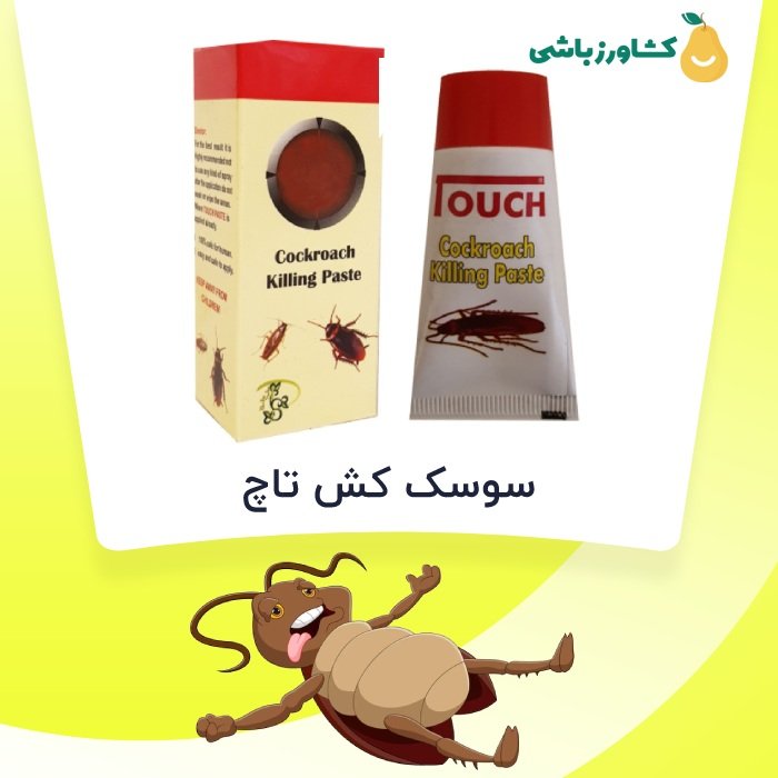 سوسک کش تاچ