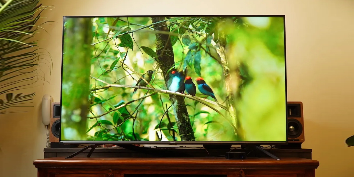 نگاهی به تلویزیون هایسنس ۲۰۲۲ با قیمت ویژه افرالند