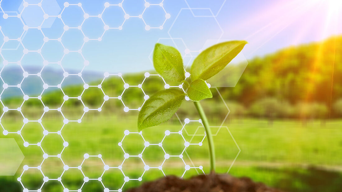 دلالی در نبوداتحادیه ها و تعاونی های کشاورزی فعال در جنوب کرمان رونق می گیرد