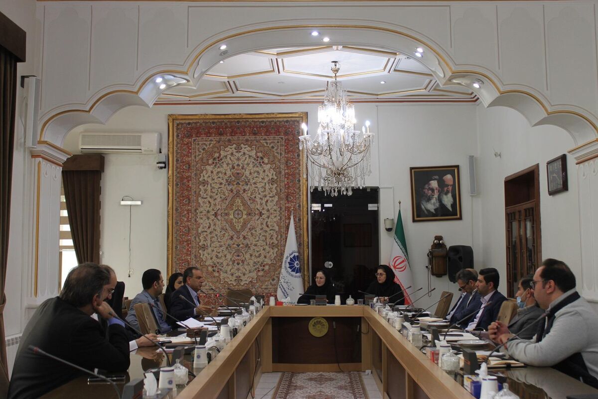 چالشهای تاخیر در تخصیص ارز نیمایی به واحدهای تولیدی و تجاری