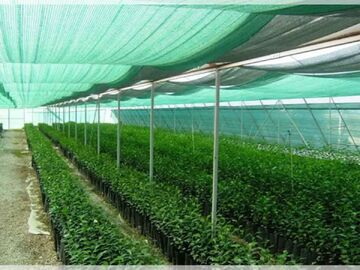 تجهیزاتی که کشاورزی را در برابر تغییرات اقلیمی حفظ میکند؛ کاهش ۱۰درصدی دمای گلخانه با توری سایبان