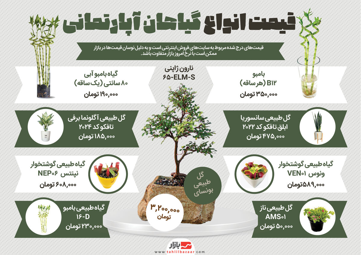 قیمت انواع گیاهان آپارتمانی