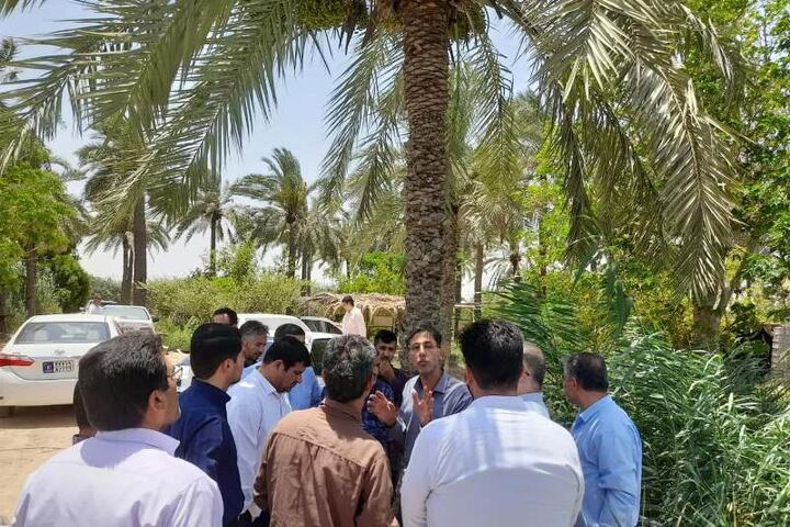 گردشگری روستایی آبادان وارد فاز اجرایی شد گردشگری روستایی آبادان وارد فاز اجرایی شد