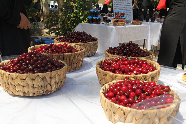 دومین جشنواره گیلاس در «گلمکان» خراسان رضوی برگزار شد| جای خالی تجاری سازی در جوامع محلی
