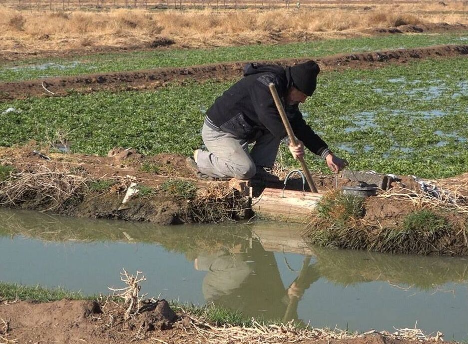 کاستن از سهمیه آب کشاورزی با استدلال کاهش زراعت پرمصرف| با خشکسالی باید کنار آمد!