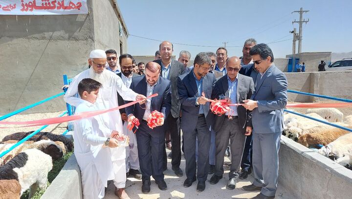 یک واحد صنعتی پرورش دام سبک در زاهدان افتتاح شد  یک واحد صنعتی پرورش دام سبک در زاهدان افتتاح شد