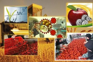 توسعه صنایع تبدیلی در گرو بهره گیری از همه ظرفیت‌ها| هدررفت ۱۱۰ هزار تن محصول کشاورزی