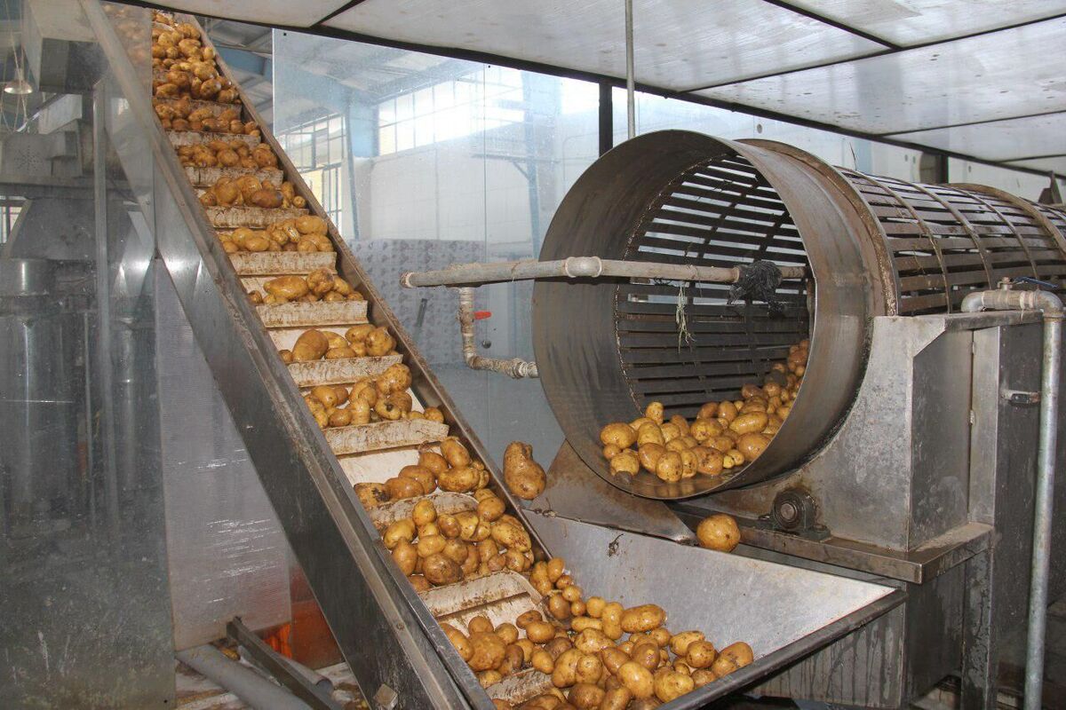 نردبان «فرآوری و ارزش افزوده» استان سمنان پله ندارد | رویای یک سود منطقی