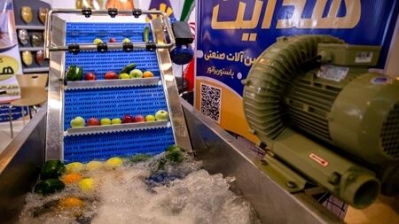 نقش مهم زیست فناوری در کشاورزی و دامداری
 نقش مهم زیست فناوری در کشاورزی و دامداری