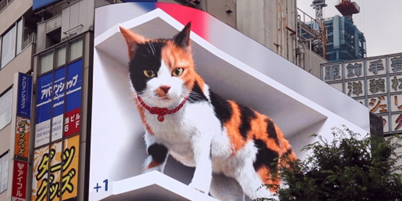 تلویزیون شهری چیست