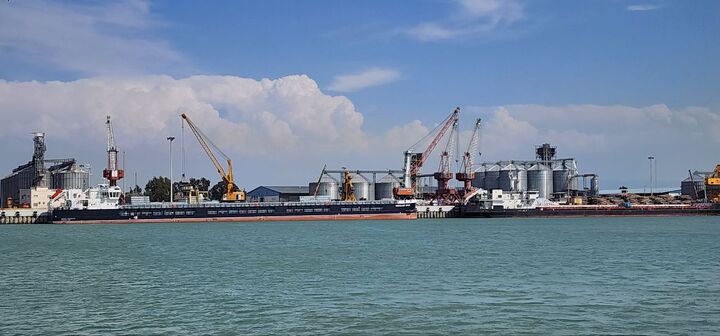 رویای تجارت دریایی به بار نشست| باغداران دل به دریا زدند رویای تجارت دریایی به بار نشست| باغداران دل به دریا زدند