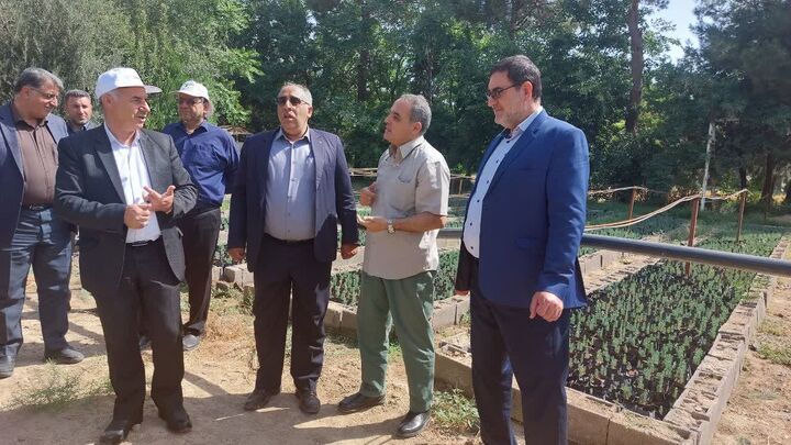 تولید بیش از ۲۴۸ میلیون اصله نهال| ضرورت توجه دولت و مجلس به طرح کاشت یک میلیارد درخت در برنامه هفتم تولید بیش از ۲۴۸ میلیون اصله نهال| ضرورت توجه دولت و مجلس به طرح کاشت یک میلیارد درخت در برنامه هفتم