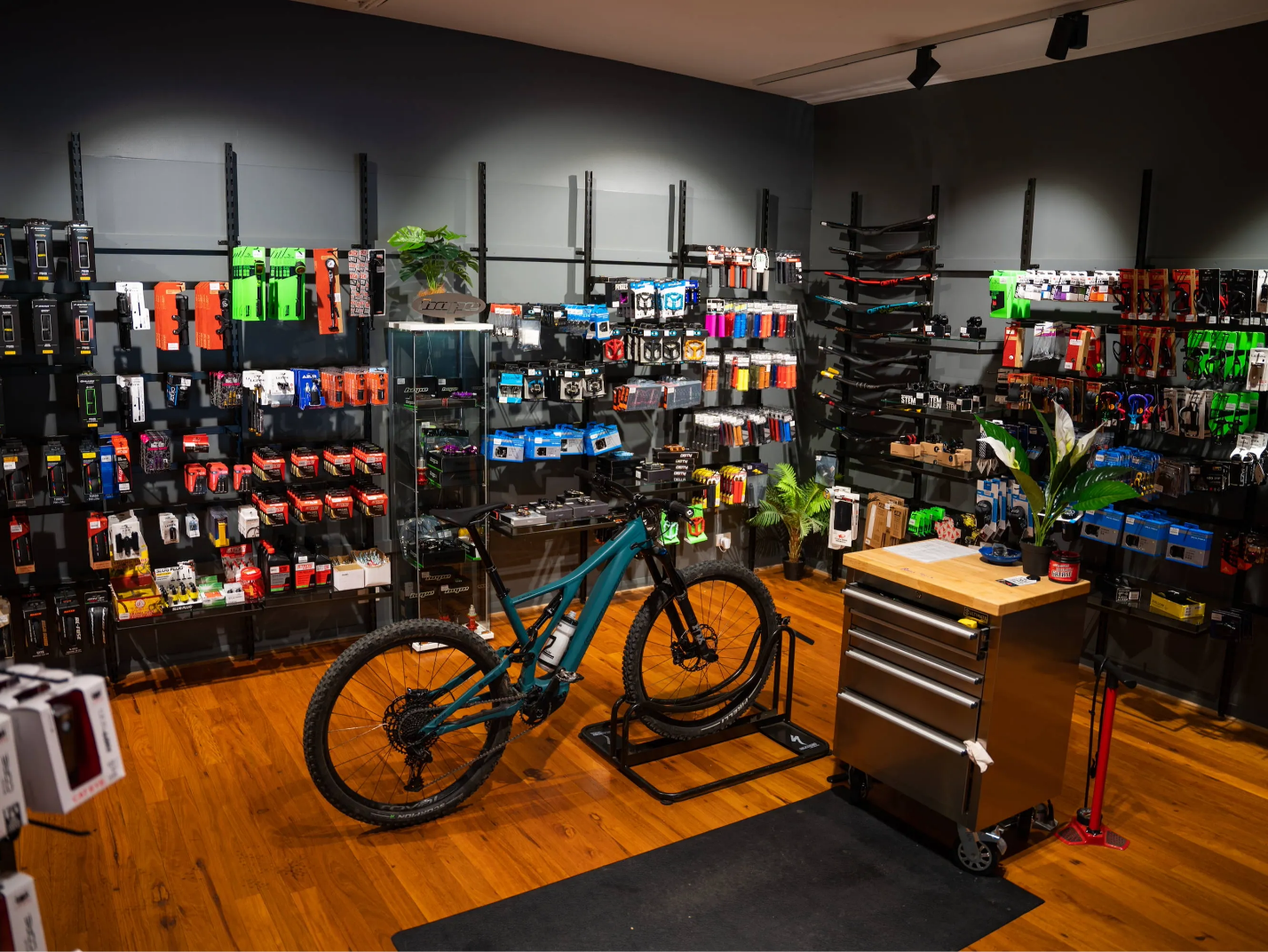 چرا قیمت دوچرخهها با هم تفاوت دارند؟