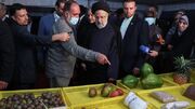 بازدید رئیس جمهور از مزرعه کشت فراسرزمینی ایران در اوگاندا