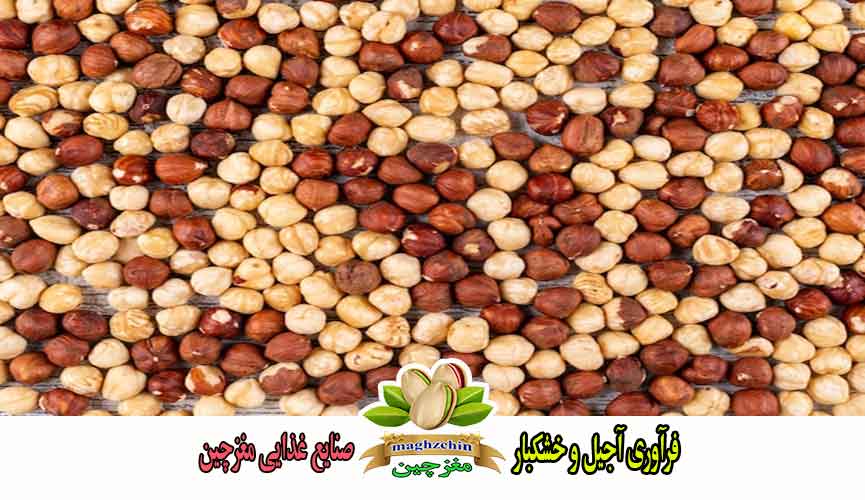 خرید و قیمت مغز فندق