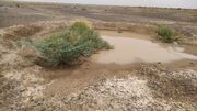 کاهش تبعات خشکسالی با مدیریت هرزآب  در سیستان و بلوچستان 