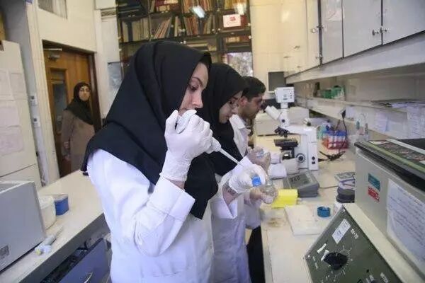 افزایش هزینه تولید منجر به کاهش رقابت شده است| نگاه بی اعتمادی دولتی ها به محصولات دانش بنیان