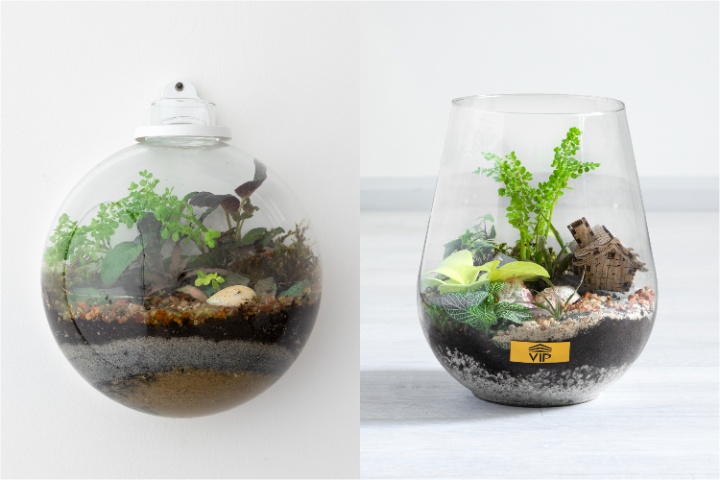 با جدید ترین محصولات گل فروشی VIP Shop، گل سرسبد مجلس باشید