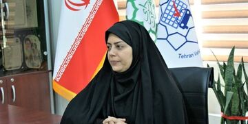 تسهیلات ۱.۲ میلیارد تومانی بدون بهره برای خرید تاکسی برقی