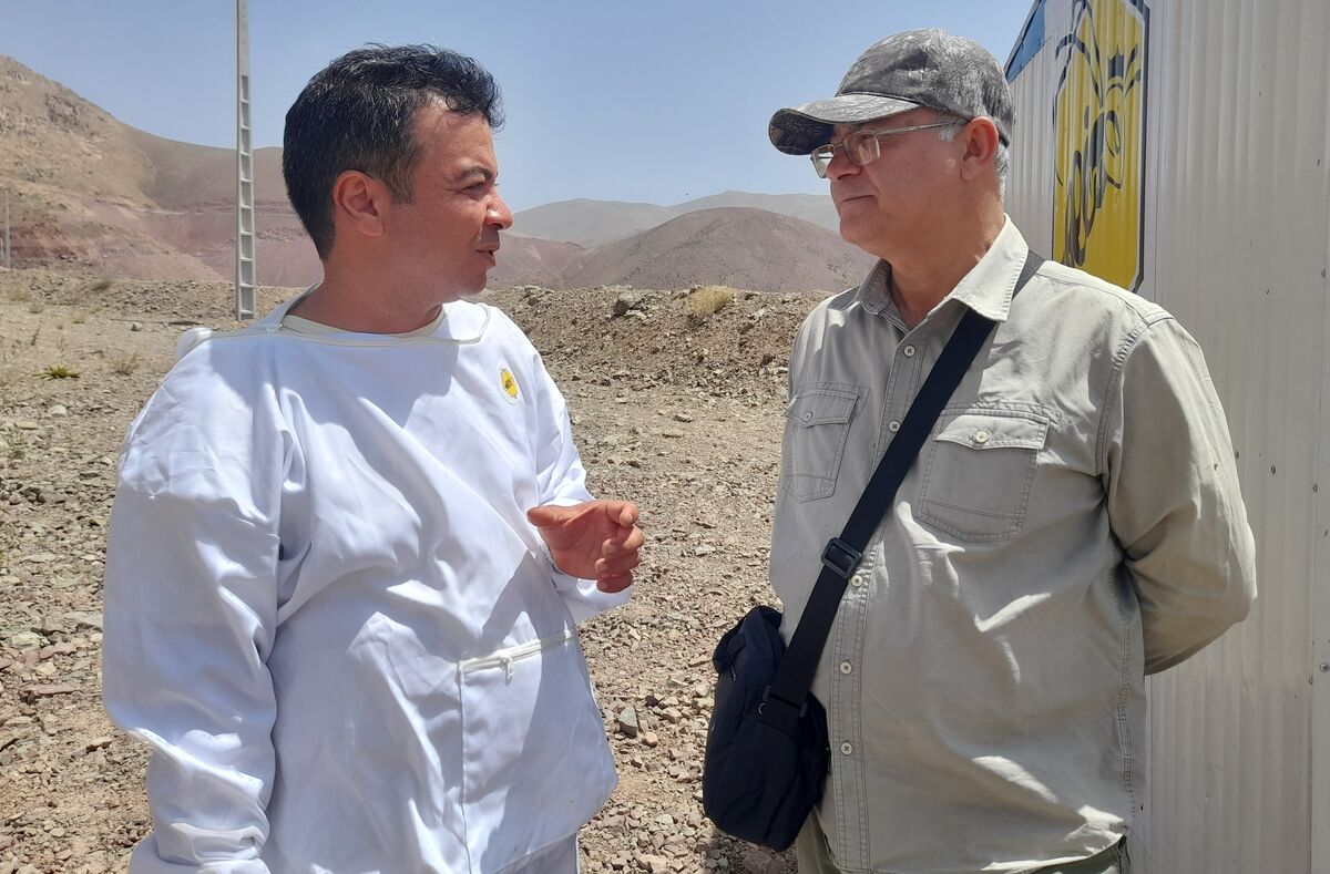 آسیب هایی که از خارج و داخل به زنبوردار می زنند| پاسخ جهاد کشاورزی به گلایه تولید کنندگان عسل