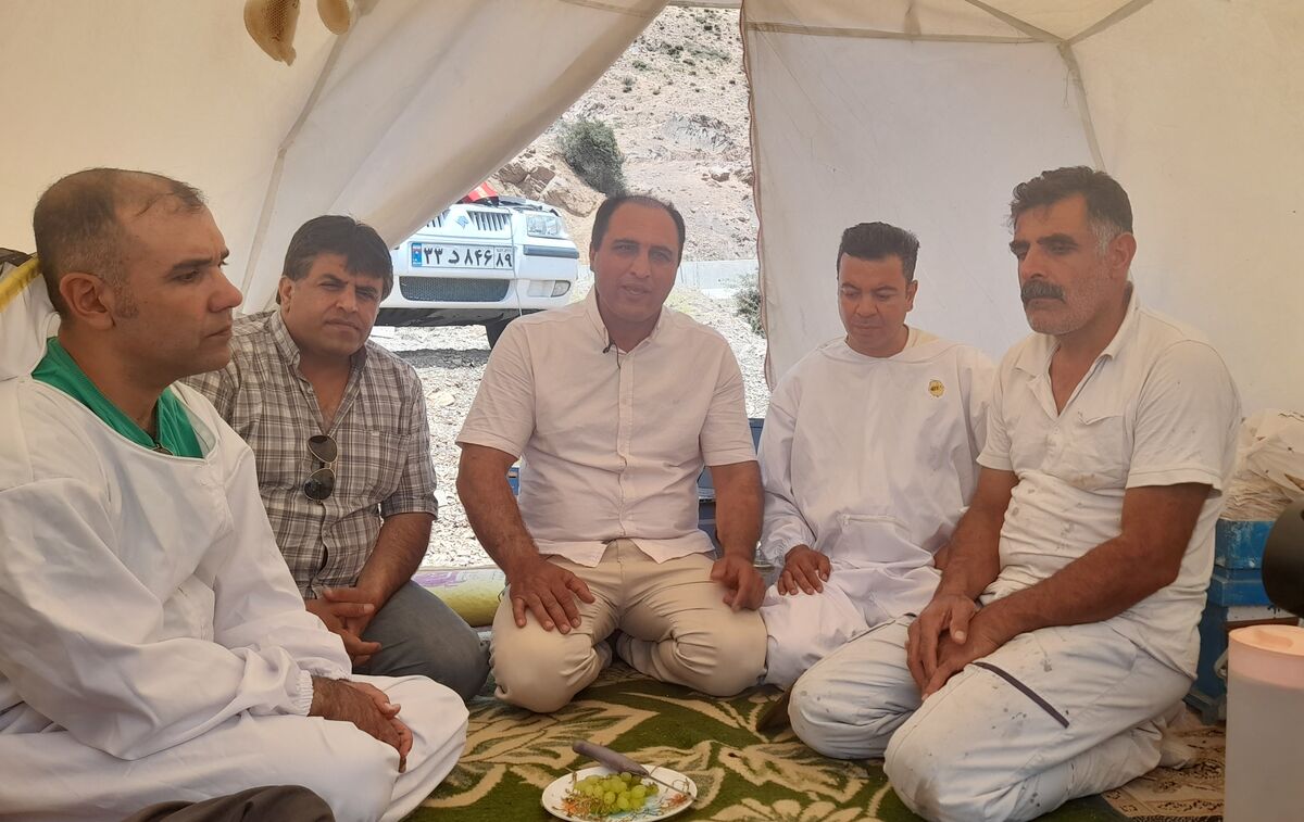 آسیب هایی که از خارج و داخل به زنبوردار می زنند| پاسخ جهاد کشاورزی به گلایه تولید کنندگان عسل