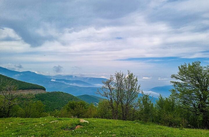 تهدید ها و فرصت ها برای تولید در حوزه چوب| آیا صنعت چوب در ایران توجیه اقتصادی دارد؟ تهدید ها و فرصت ها برای تولید در حوزه چوب| آیا صنعت چوب در ایران توجیه اقتصادی دارد؟