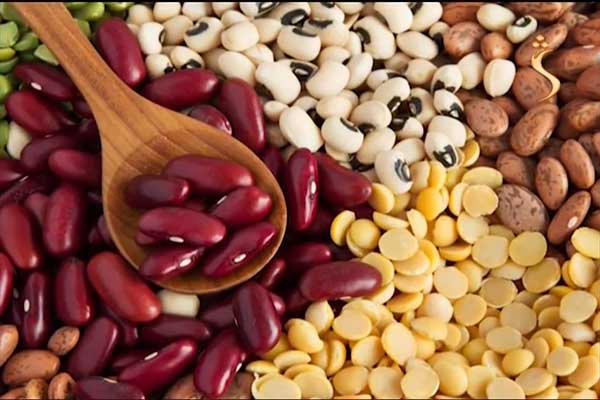 سوداوری بسته بندی حبوبات