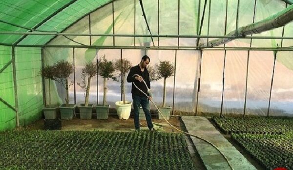 «ترویج» پاشنه آشیل جهاد کشاورزی استان سمنان | یافته های علمی پشت دیوار مراکز تحقیقاتی