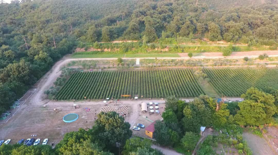 سهم گردشگری کشاورزی در اقتصاد گلستان رو به افزایش است