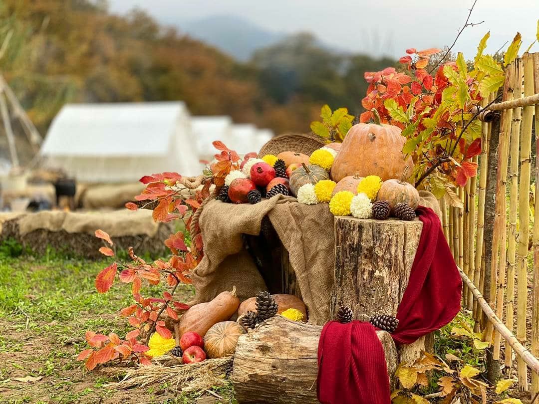سهم گردشگری کشاورزی در اقتصاد گلستان رو به افزایش است