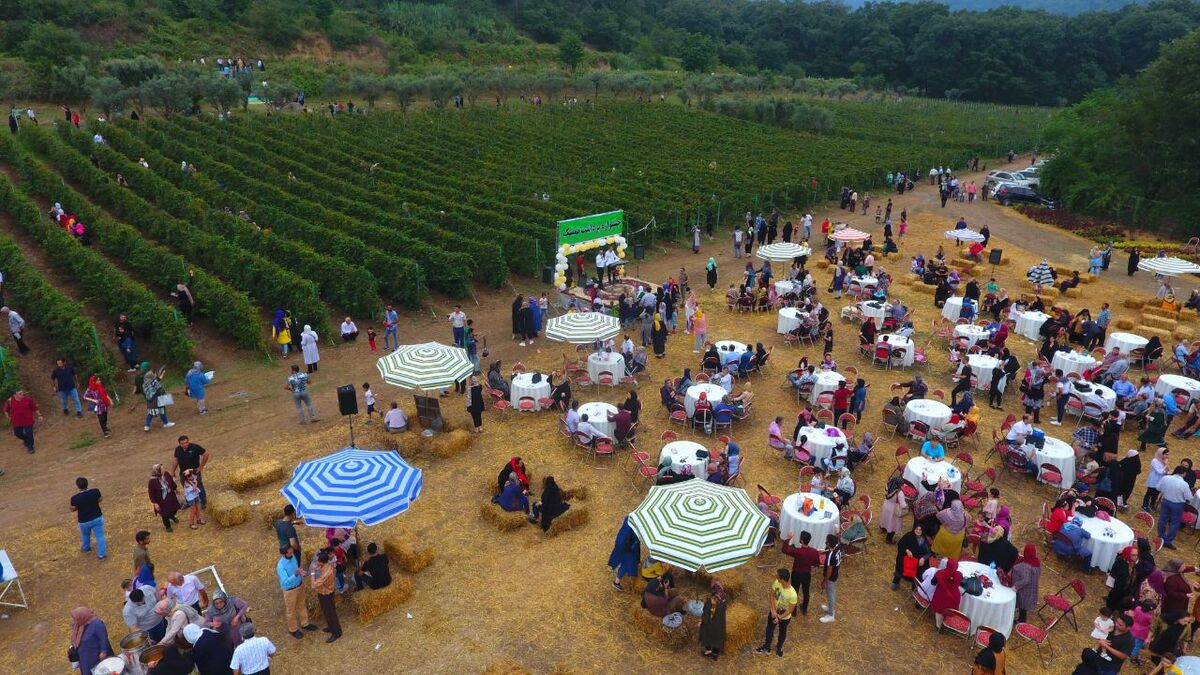 سهم گردشگری کشاورزی در اقتصاد گلستان رو به افزایش است