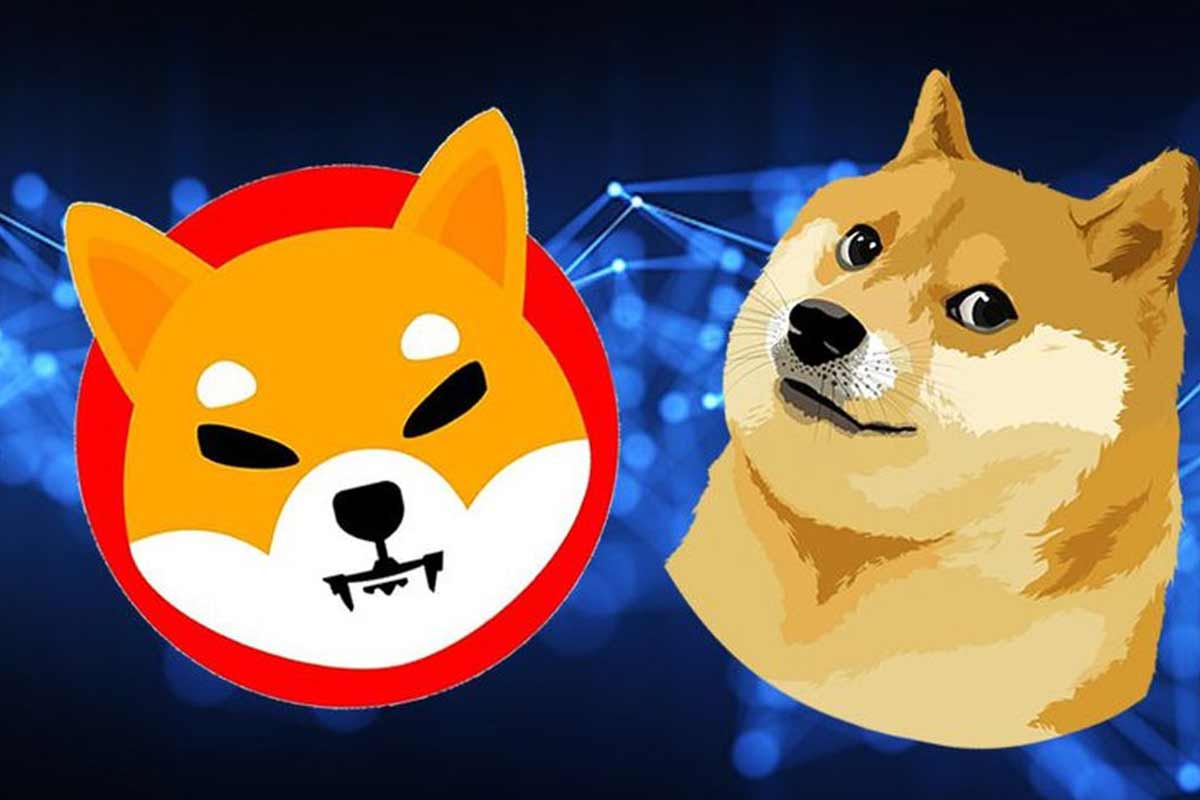 فرصت عالی معاملاتی با حذف کارمزد معاملات دوج و شیبا توسط صرافی والکس