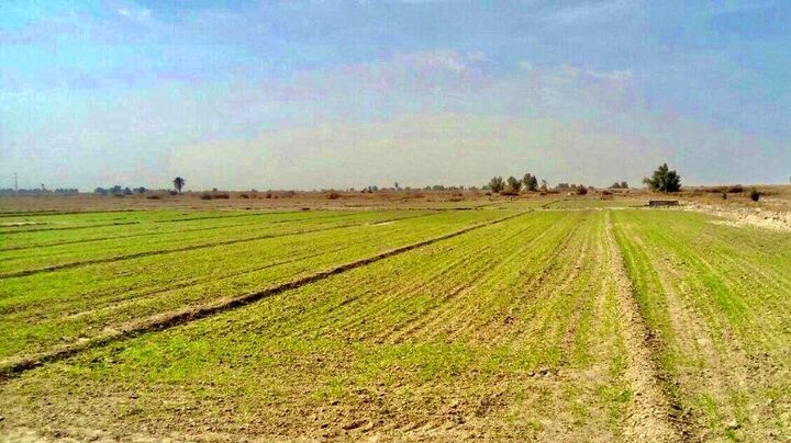توسعه فعالیت کشاورزی در ۱۲۰۰ روستای محروم مازندران