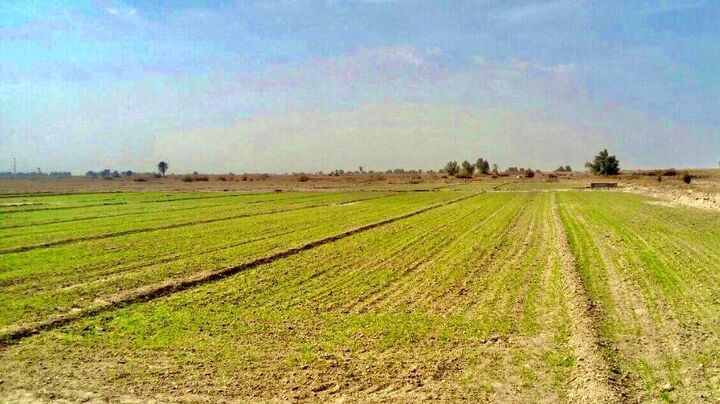 دهکده های صنعتی کشاورزی در روستاهای کلاردشت احداث می شود دهکده های صنعتی کشاورزی در روستاهای کلاردشت احداث می شود