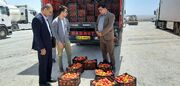 ۵ هزار تن گوجه فرنگی از سیستان و بلوچستان به افغانستان و پاکستان صادر شد