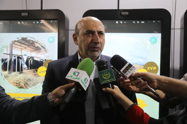 تولید ۹۸ درصد بذر مورد نیاز در کشور تولید ۹۸ درصد بذر مورد نیاز در کشور