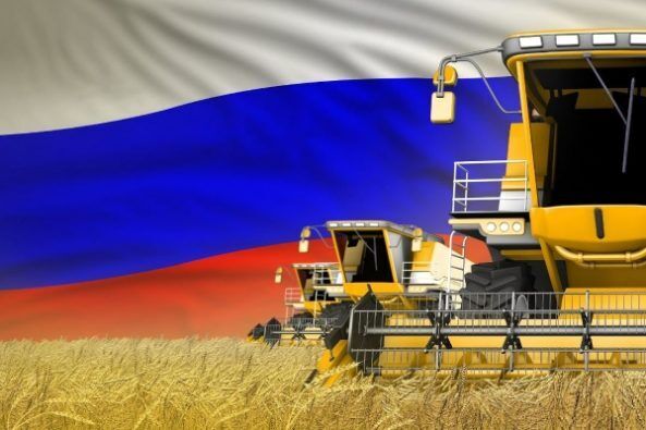 آغاز اجرای طرح عرضه غلات روسیه به کشورهای نیازمند
