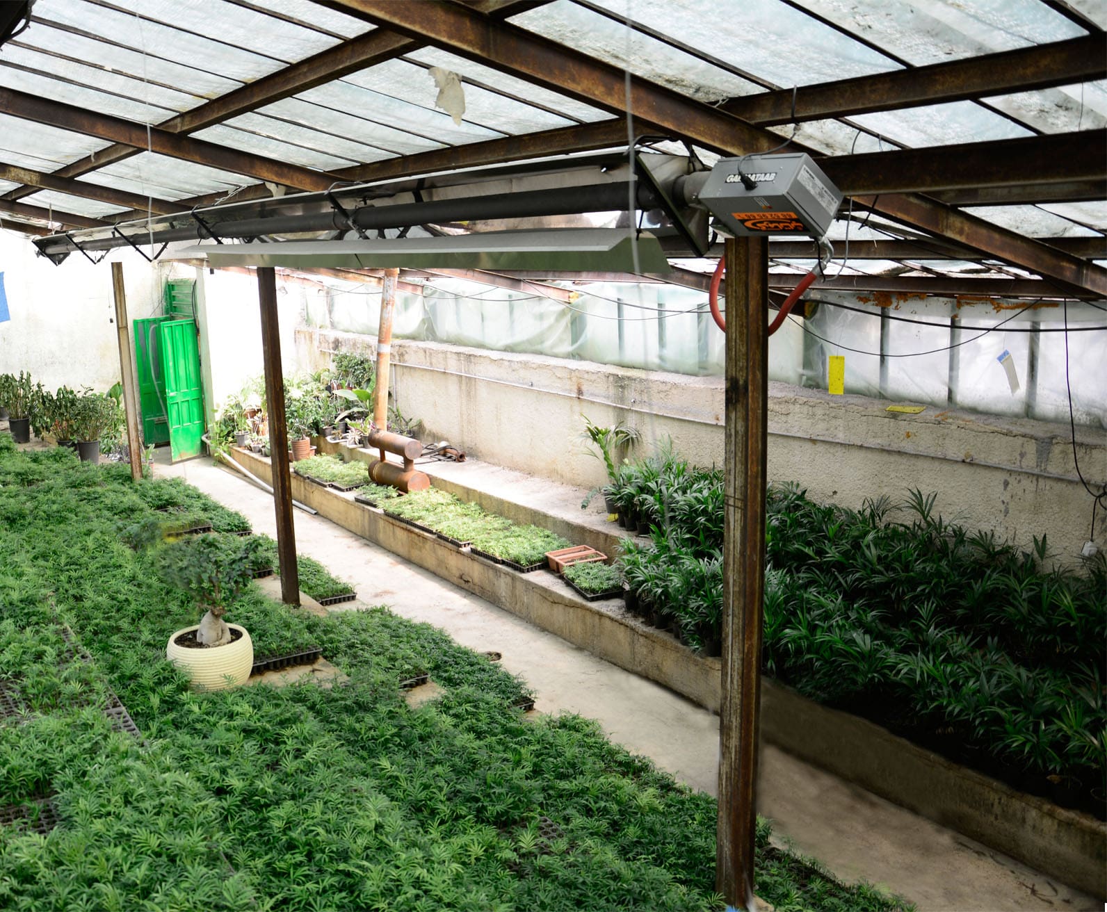 بخاری گلخانه