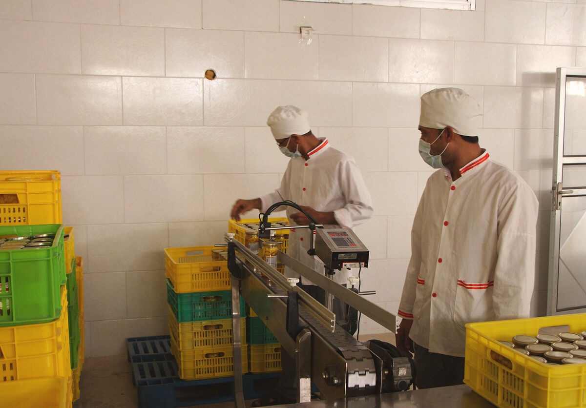 ضربه سنگین نبود صنایع تبدیلی به کشاورزی هرمزگان| ۳۰ درصد محصولات نابود می شود