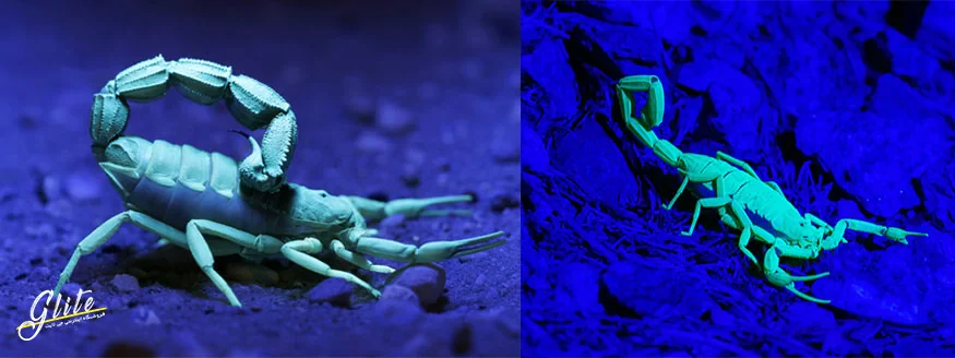 خرید بهترین چراغ قوههای UV برای پیدا کردن سنگهای معدنی images_1695129775_6509a0af871c6.webp