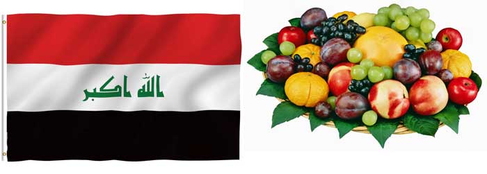 صادرات میوه از ایران به عراق
