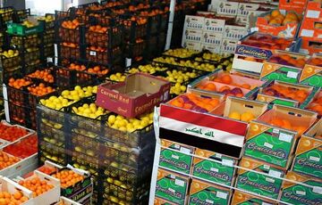 آموزش صادرات میوه به عراق + بایدها و نبایدها